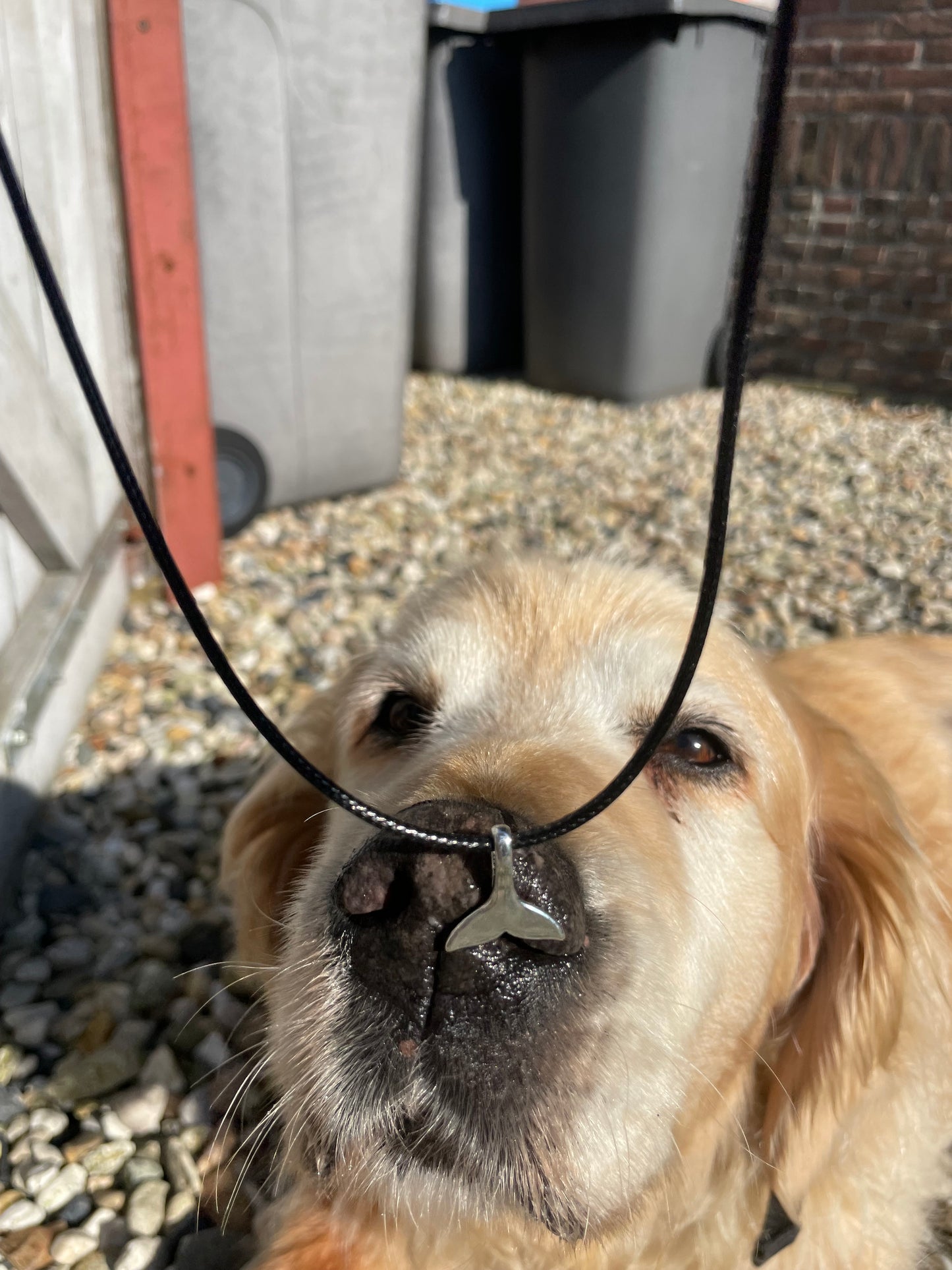 Whale Tail Necklace 🐋 x
